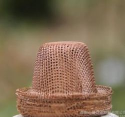 帽式国产麻豆一区二区三区網都有哪些用途